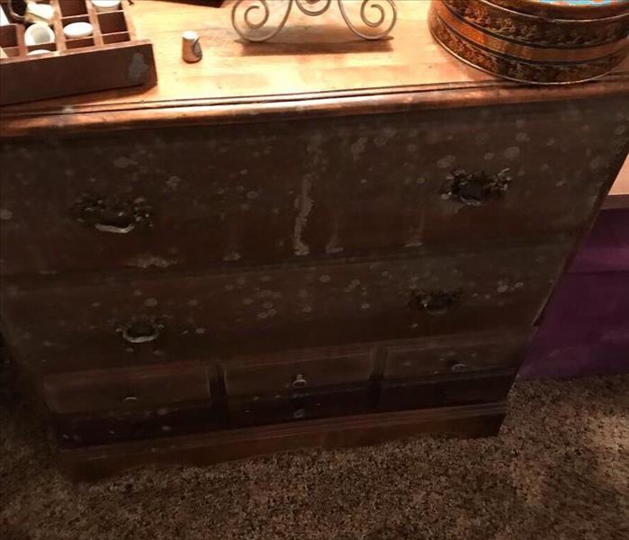 mold on a dresser