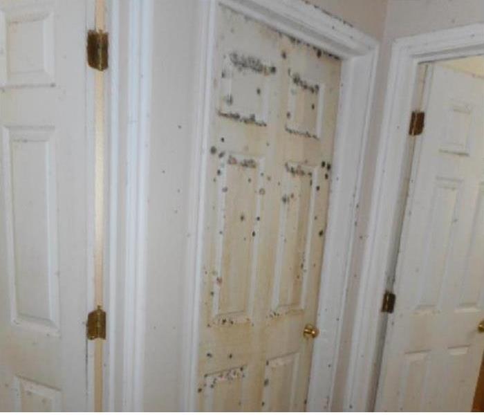 a door with mold damage
