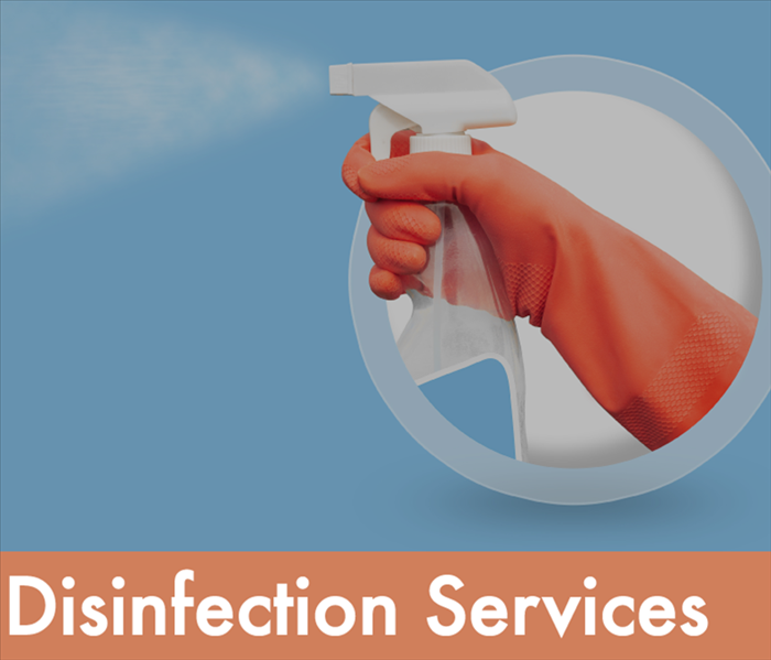 a graphic that says disinfection services